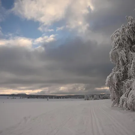 Poehlbergblick Wolkenstein