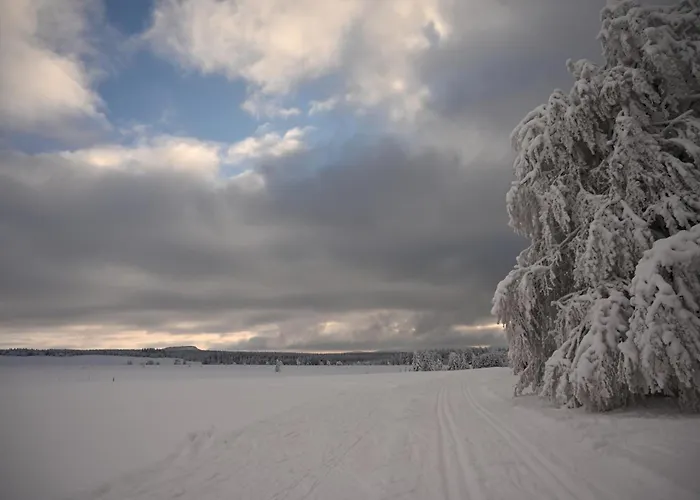 Poehlbergblick فولكنشتاين